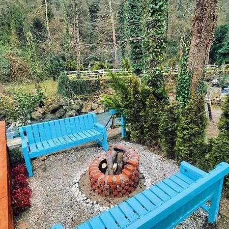 Hotel Ozlifesapanca Dome